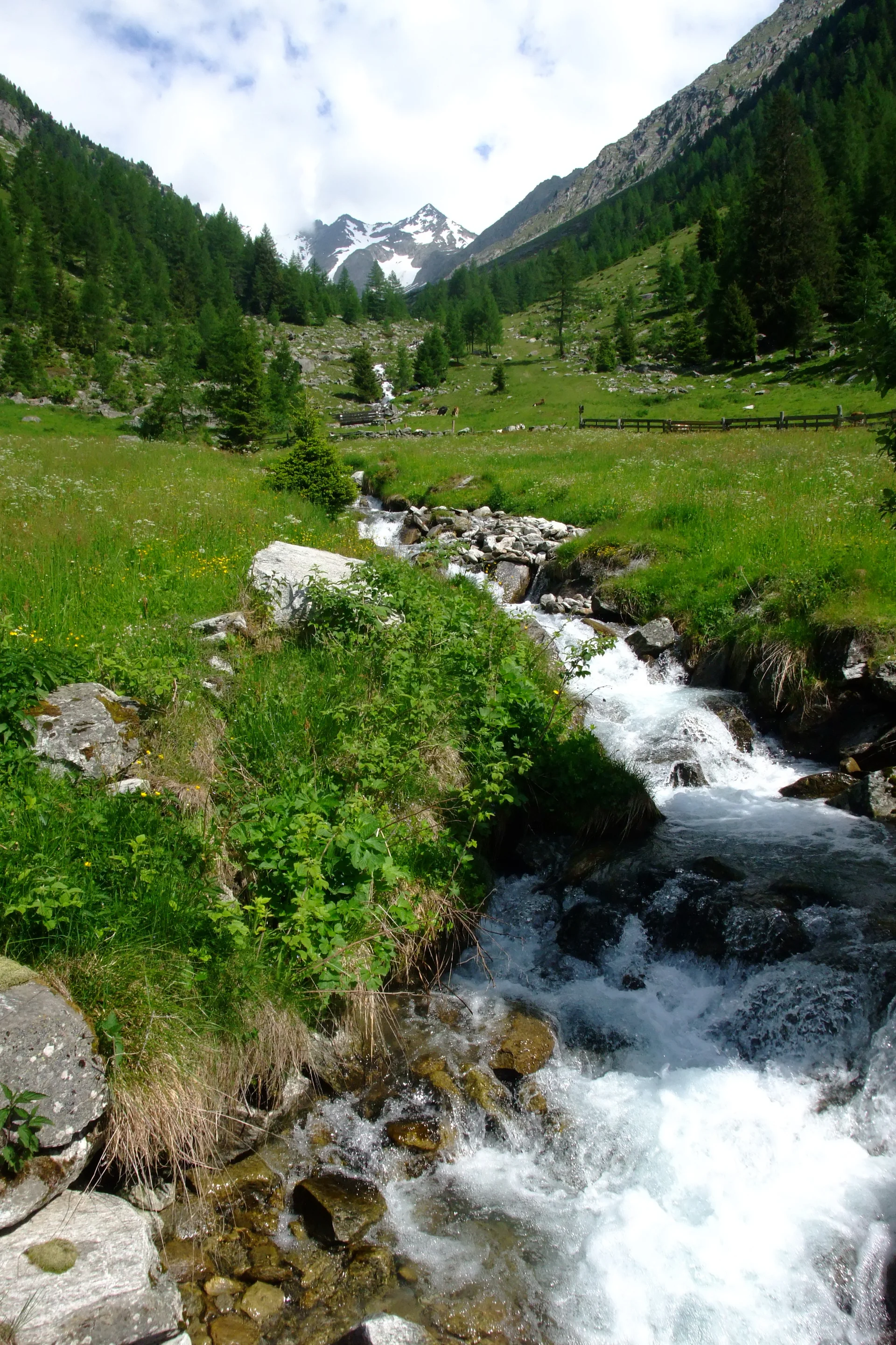 Gr. D Riesa Alm | © DAV-Augsburg Senioren