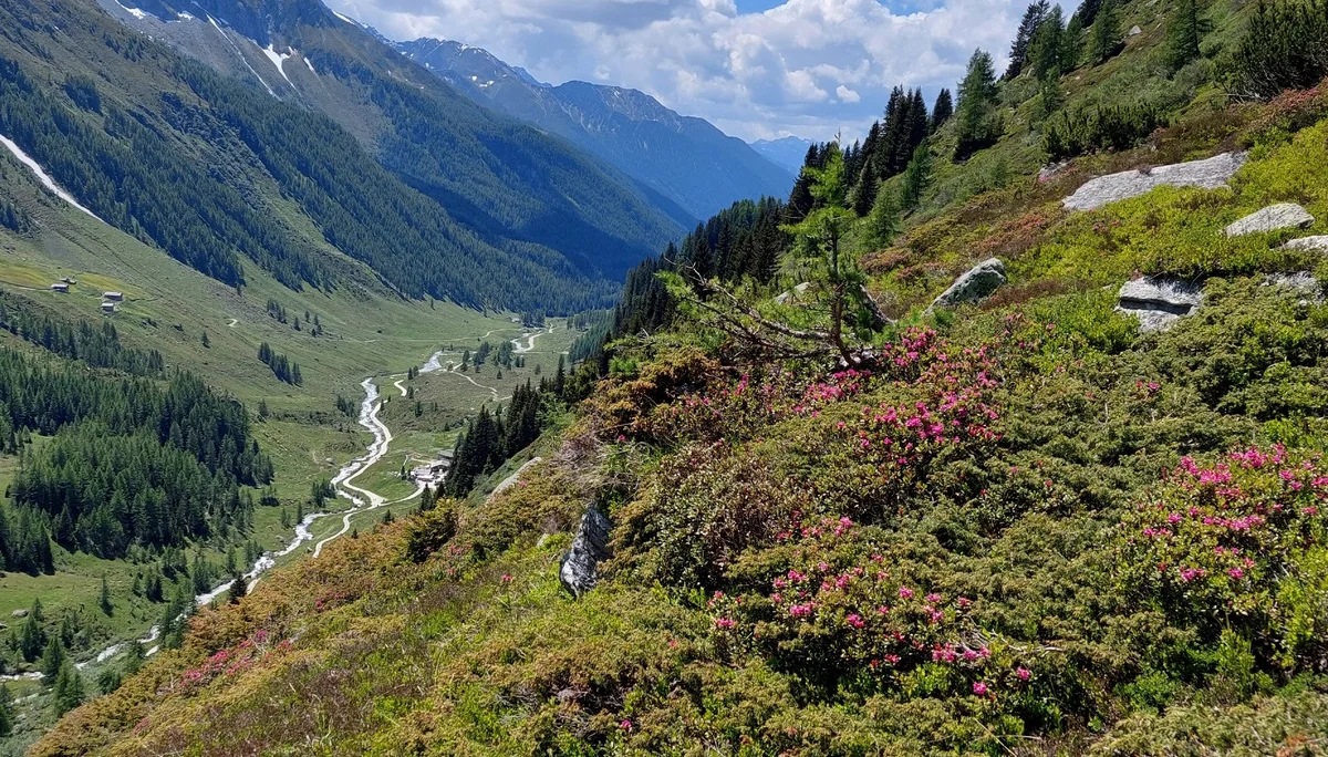 Gr. C Rundweg Kasern - Heilig Geist Kirchlein - Obere Tauernalm | © DAV-Augsburg Senioren