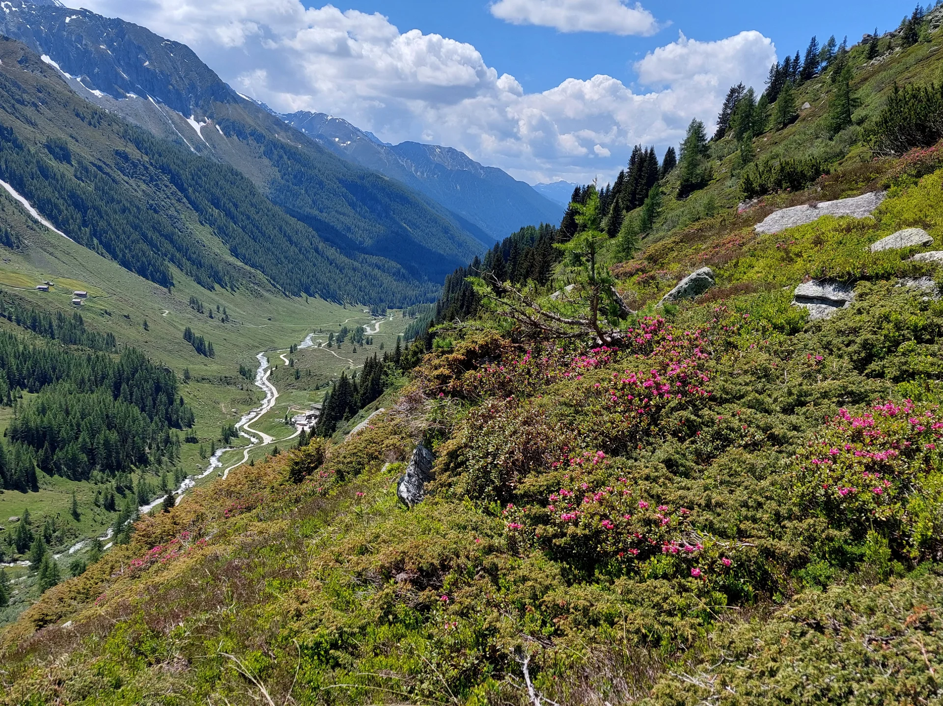 Gr. C Rundweg Kasern - Heilig Geist Kirchlein - Obere Tauernalm | © DAV-Augsburg Senioren