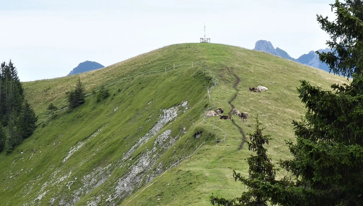 Gr. A+B Auf dem großen Hirschberg (1644m) | © DAV Augsburg Senioren