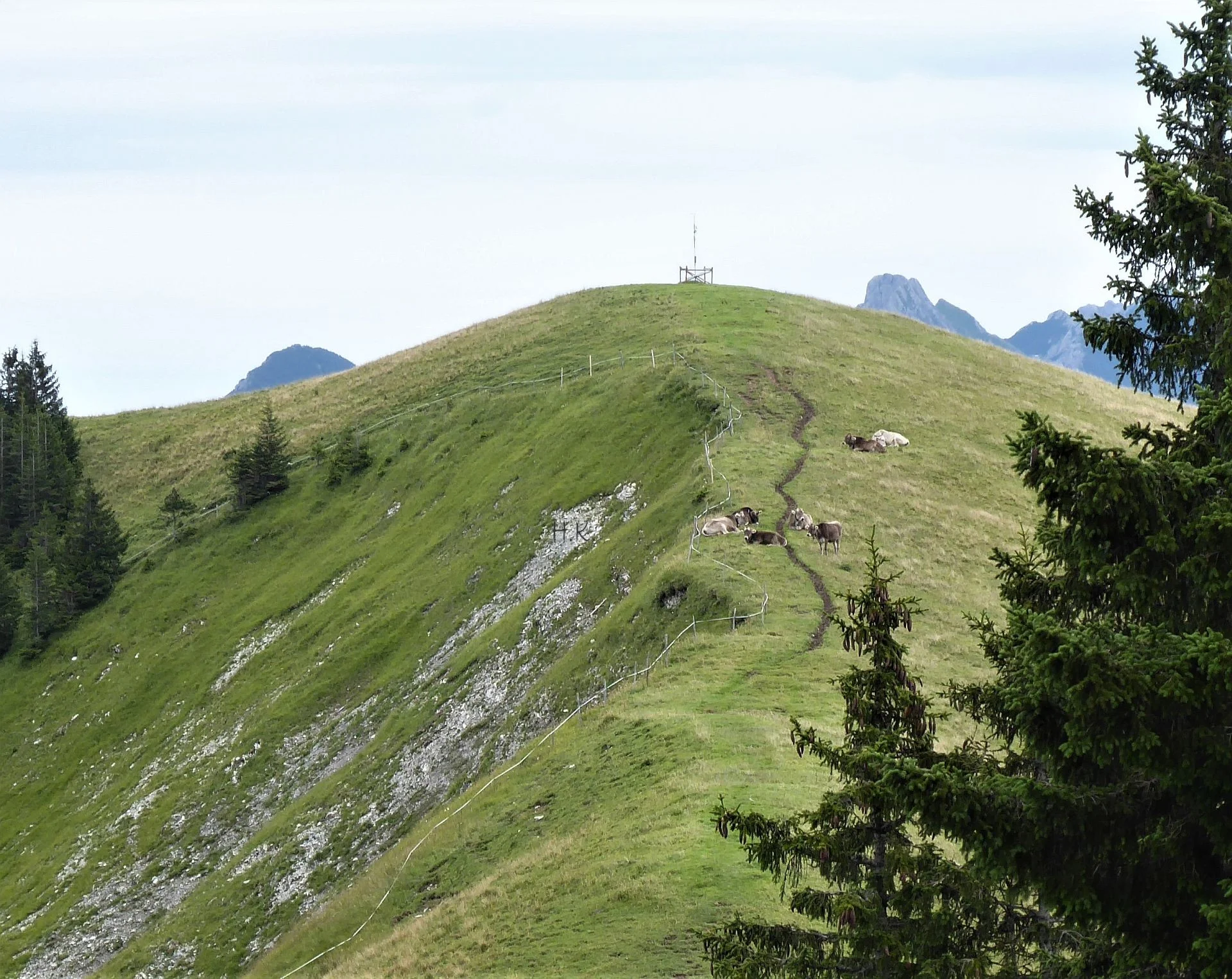 Gr. A+B Auf dem großen Hirschberg (1644m) | © DAV Augsburg Senioren