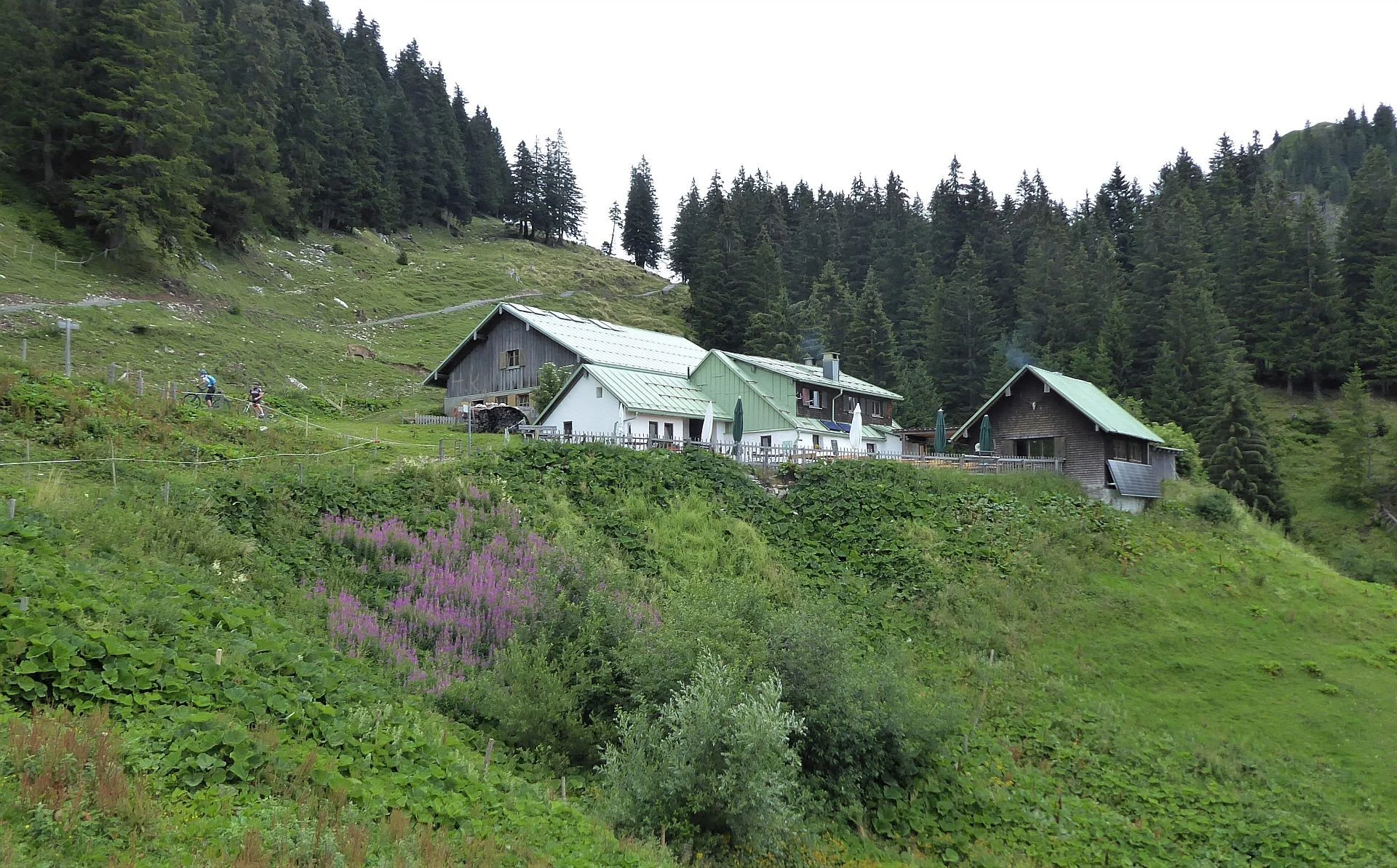 Gr. A+B Hirschalpe (1493m) | © DAV Augsburg Senioren