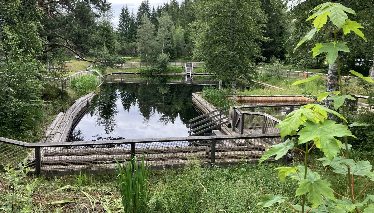 Gr. A+B Hochmoor Oberjoch | © DAV Augsburg Senioren