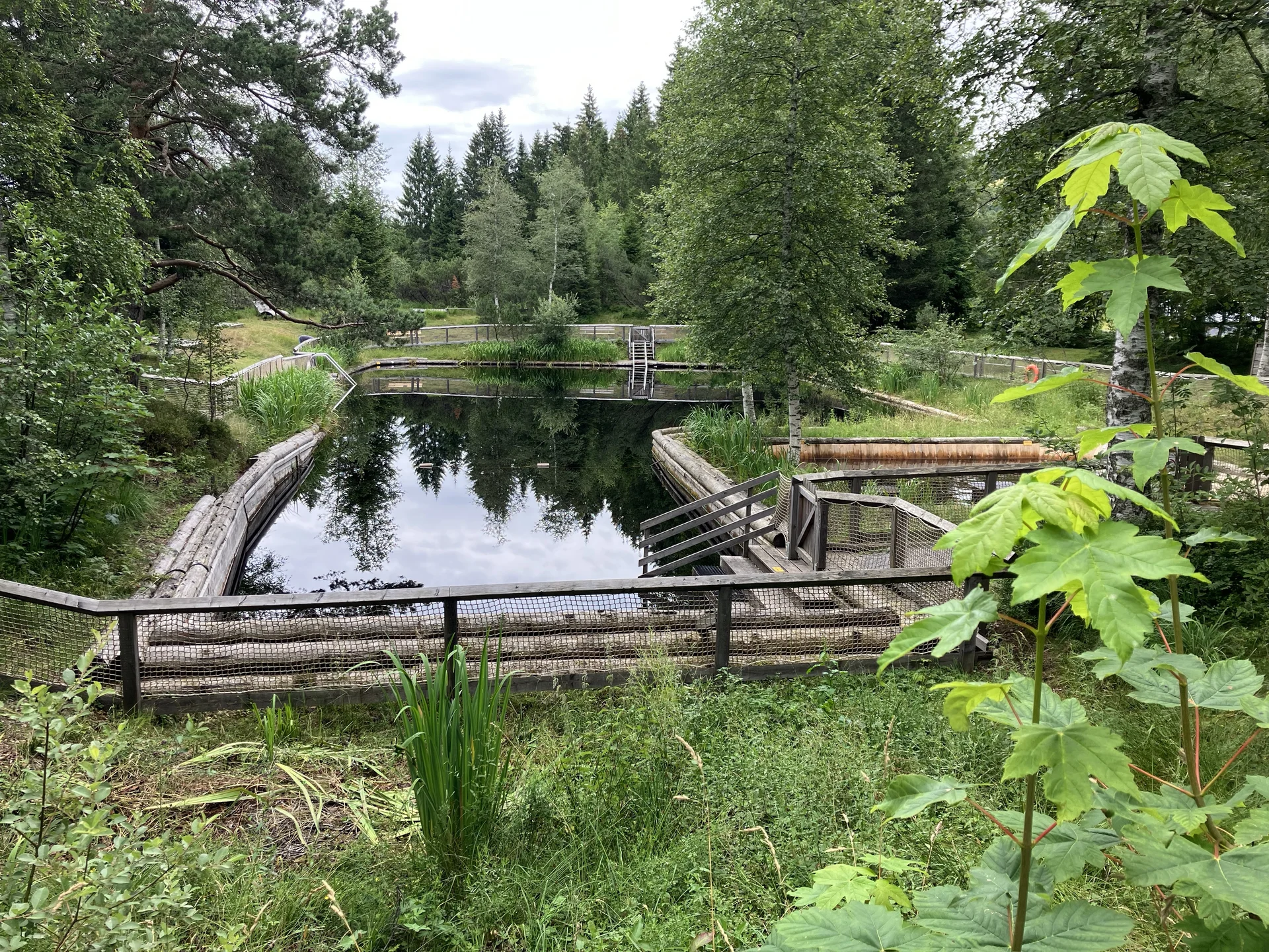 Gr. A+B Hochmoor Oberjoch | © DAV Augsburg Senioren