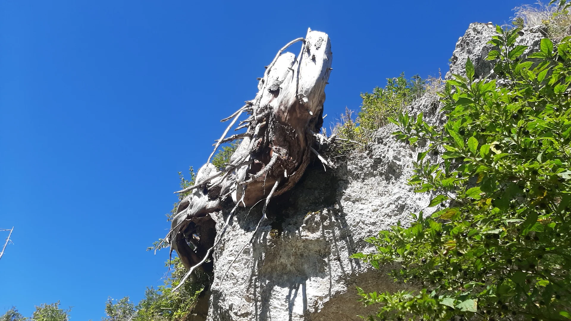 Gr. A Grüner Ups (1) | © DAV Augsburg Senioren