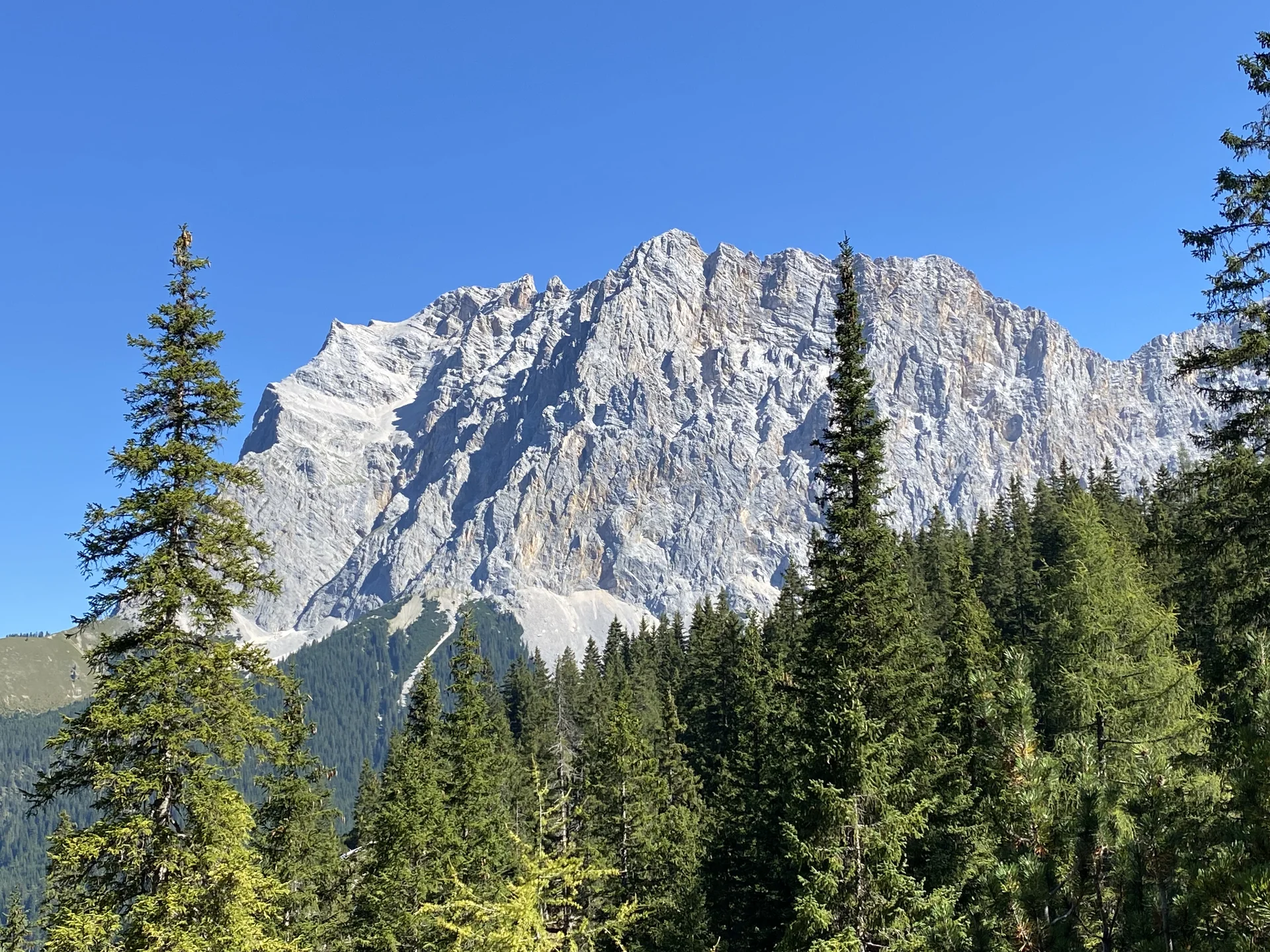 Gr. B Ehrwalder Alm - Coburger Hütte (2) | © DAV Augsburg Senioren