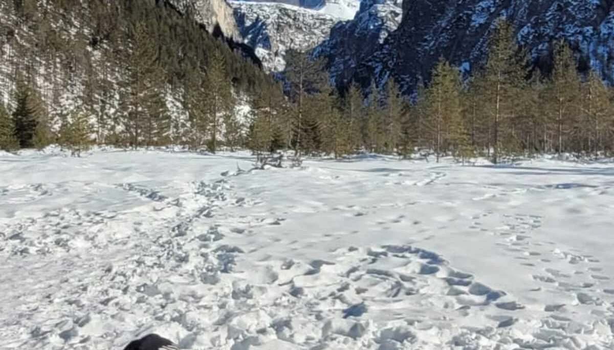 Drei-Zinnen-Blick | © privat