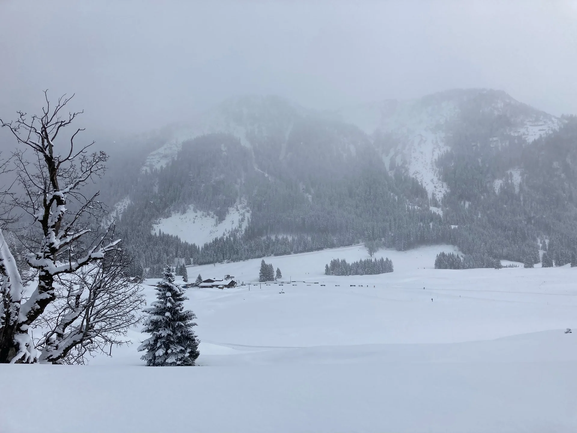 Gnadenalm im Schnee | © Gregor Tiedeken
