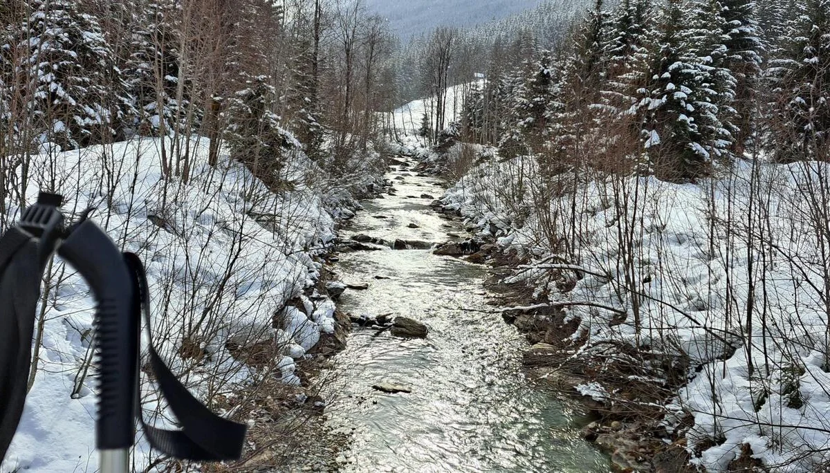 Kleinarlbach | © Carola A.