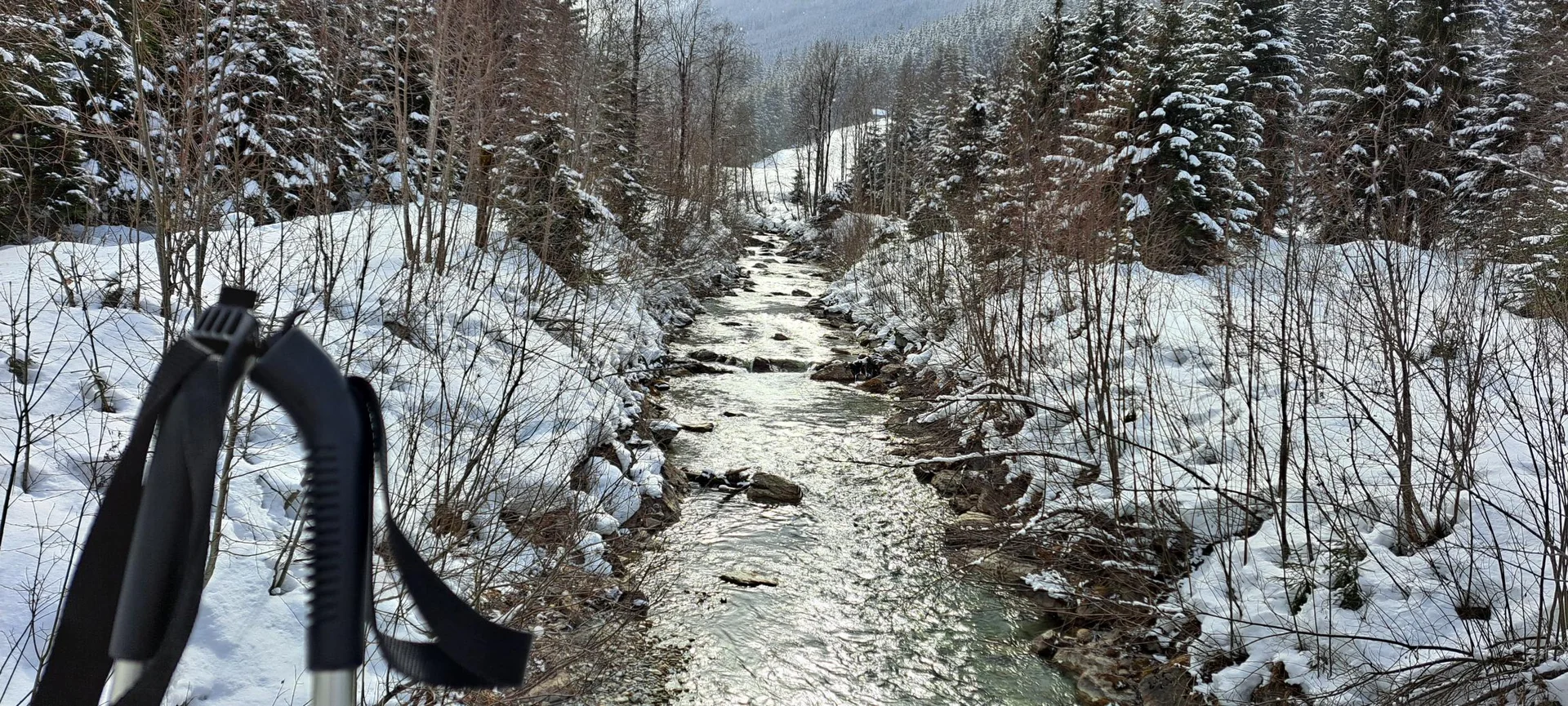 Kleinarlbach | © Carola A.