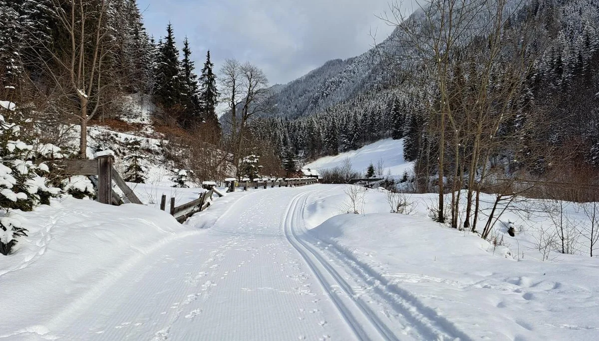 Loipe Flachauwinkel | © Carola A.