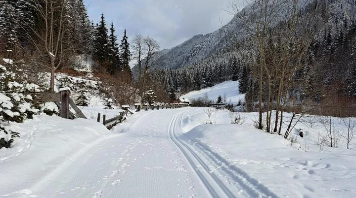 Loipe Flachauwinkel | © Carola A.