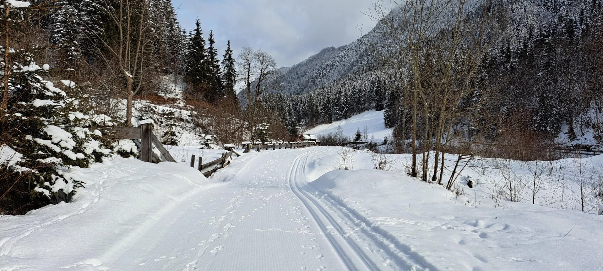 Loipe Flachauwinkel | © Carola A.