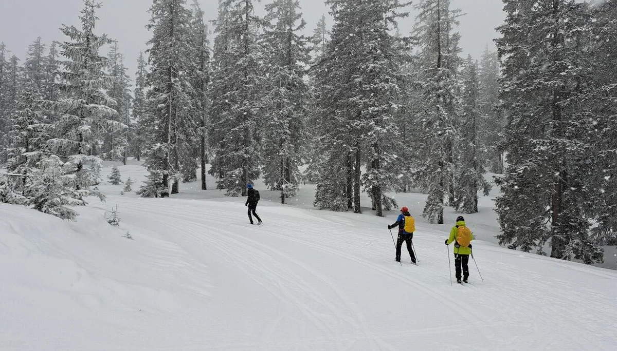 Loipe Rossbrand mit Neuschnee | © Carola A.