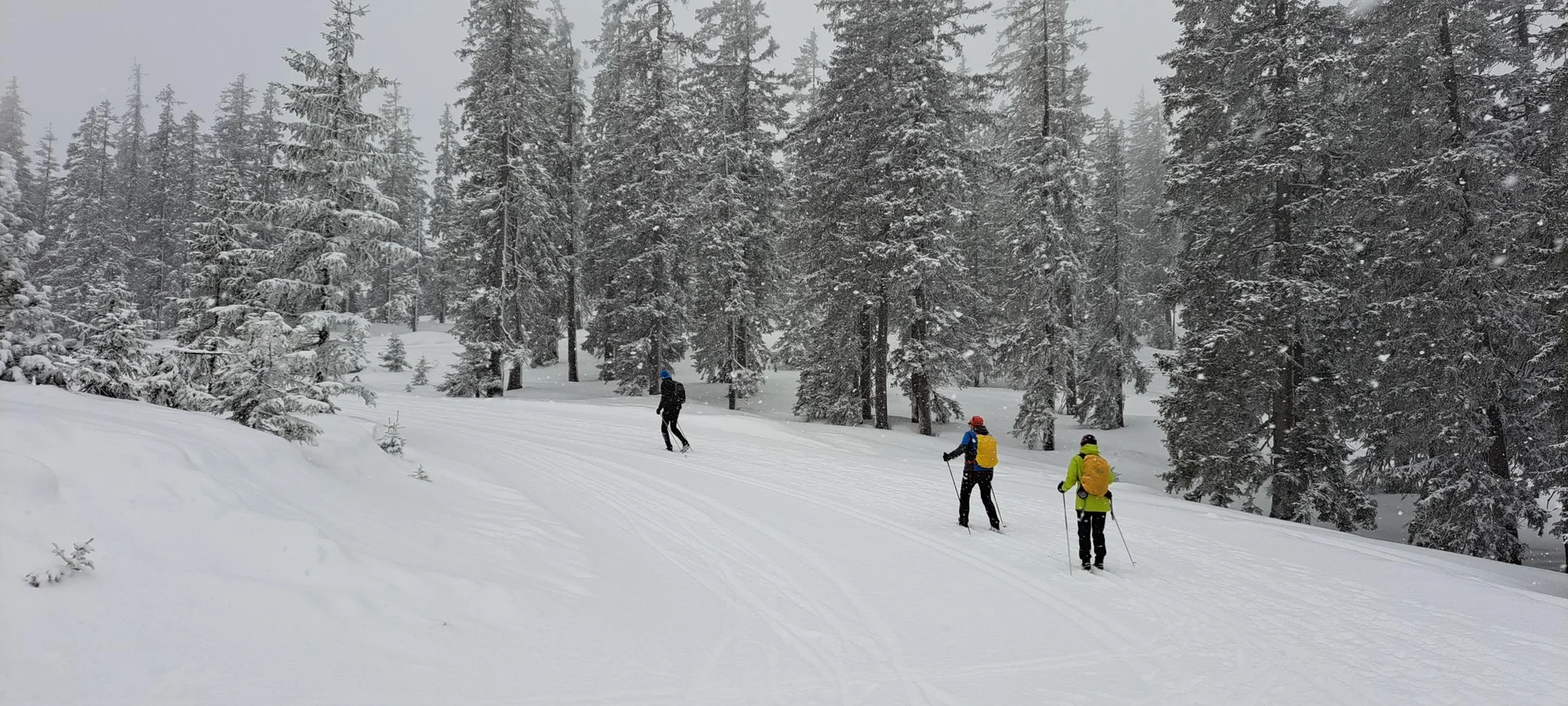 Loipe Rossbrand mit Neuschnee | © Carola A.