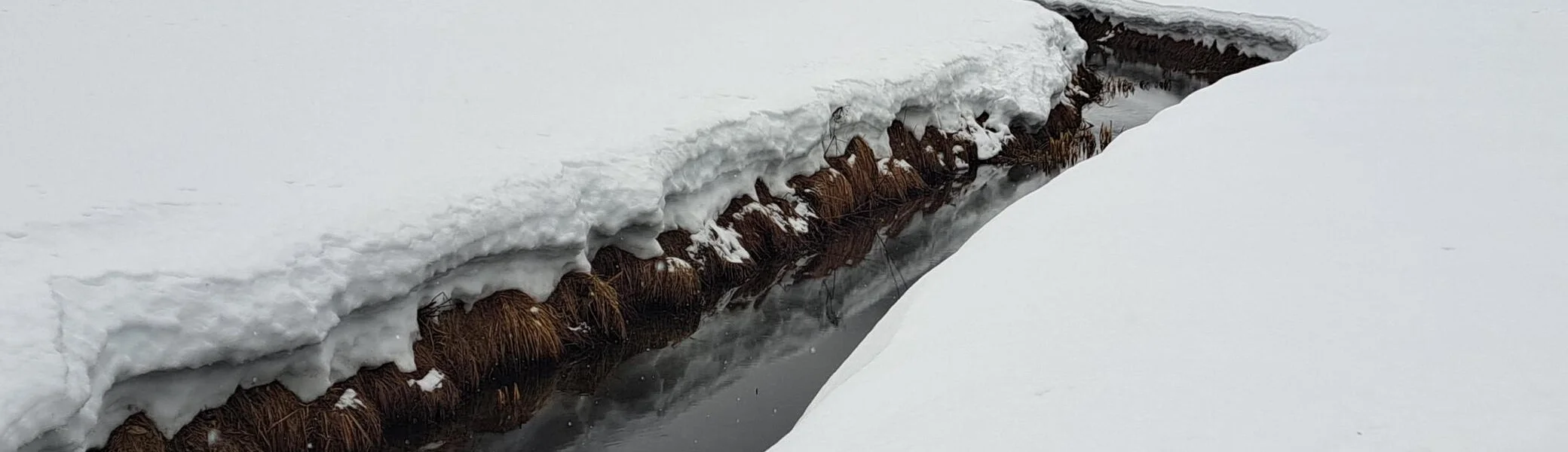 Loipenbegleitung | © privat