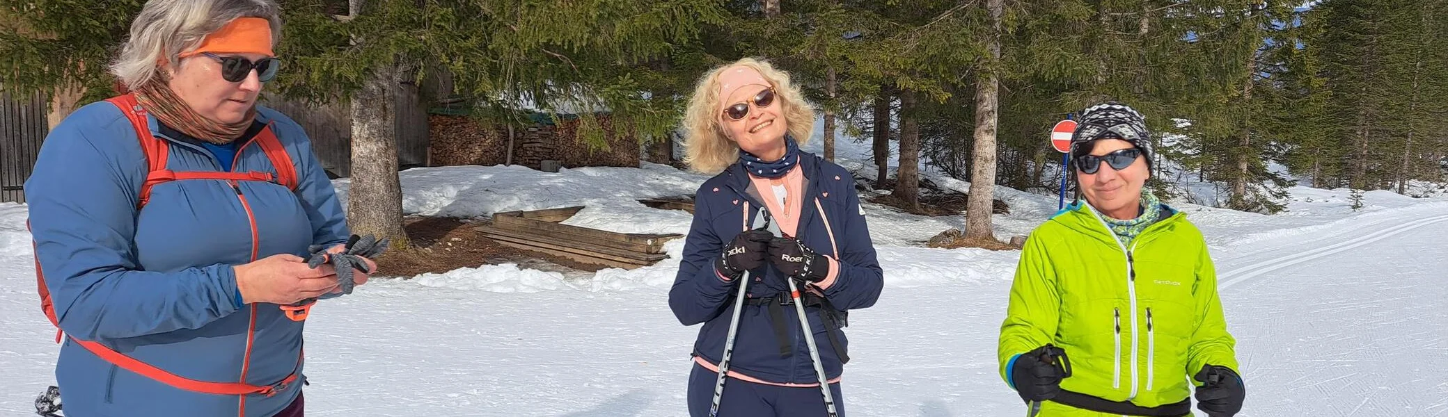 Sonnenanbeterinnen | © C. Ammann