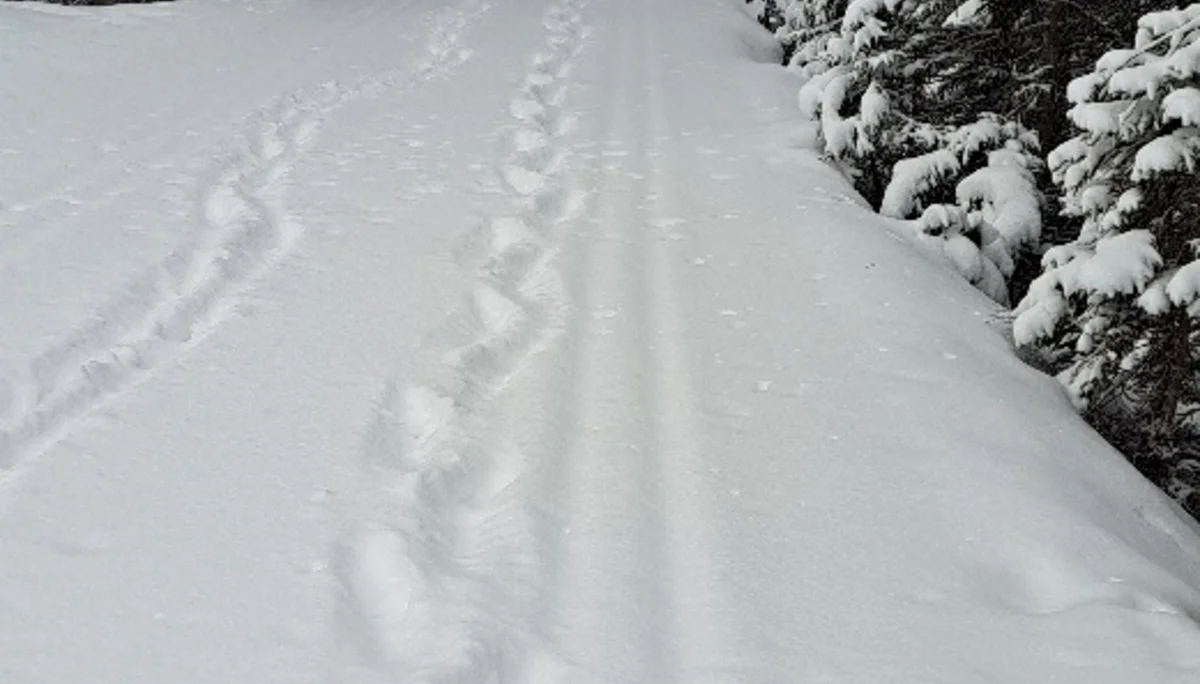 Dürrensee Rtg Gemärk | © privat