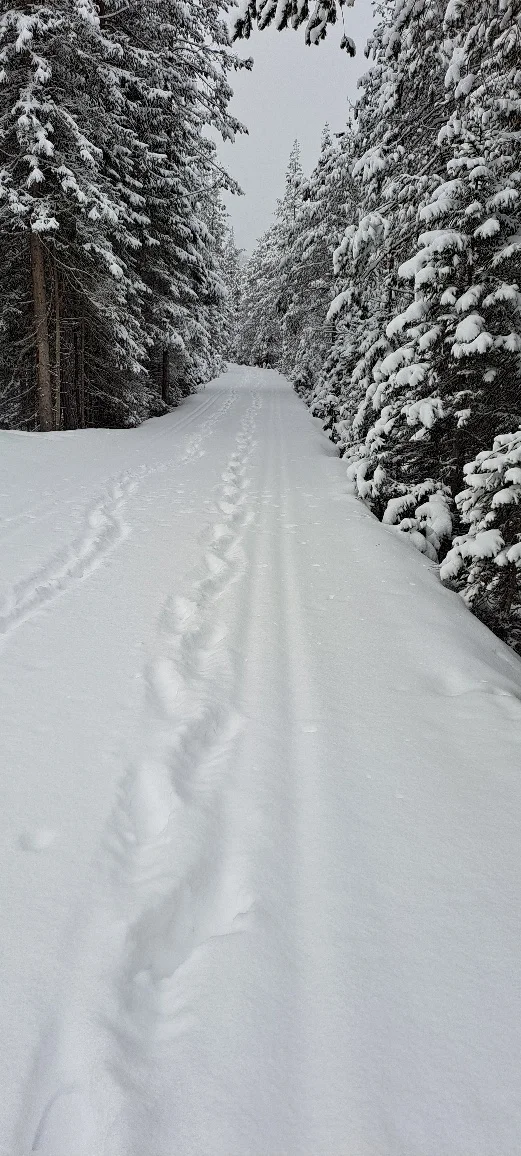 Dürrensee Rtg Gemärk | © privat