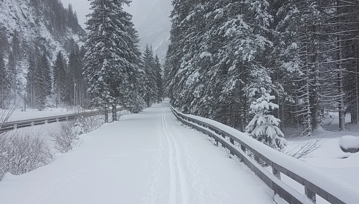 hier hat Hubert gespurt - Rtg. Dürrensee | © privat