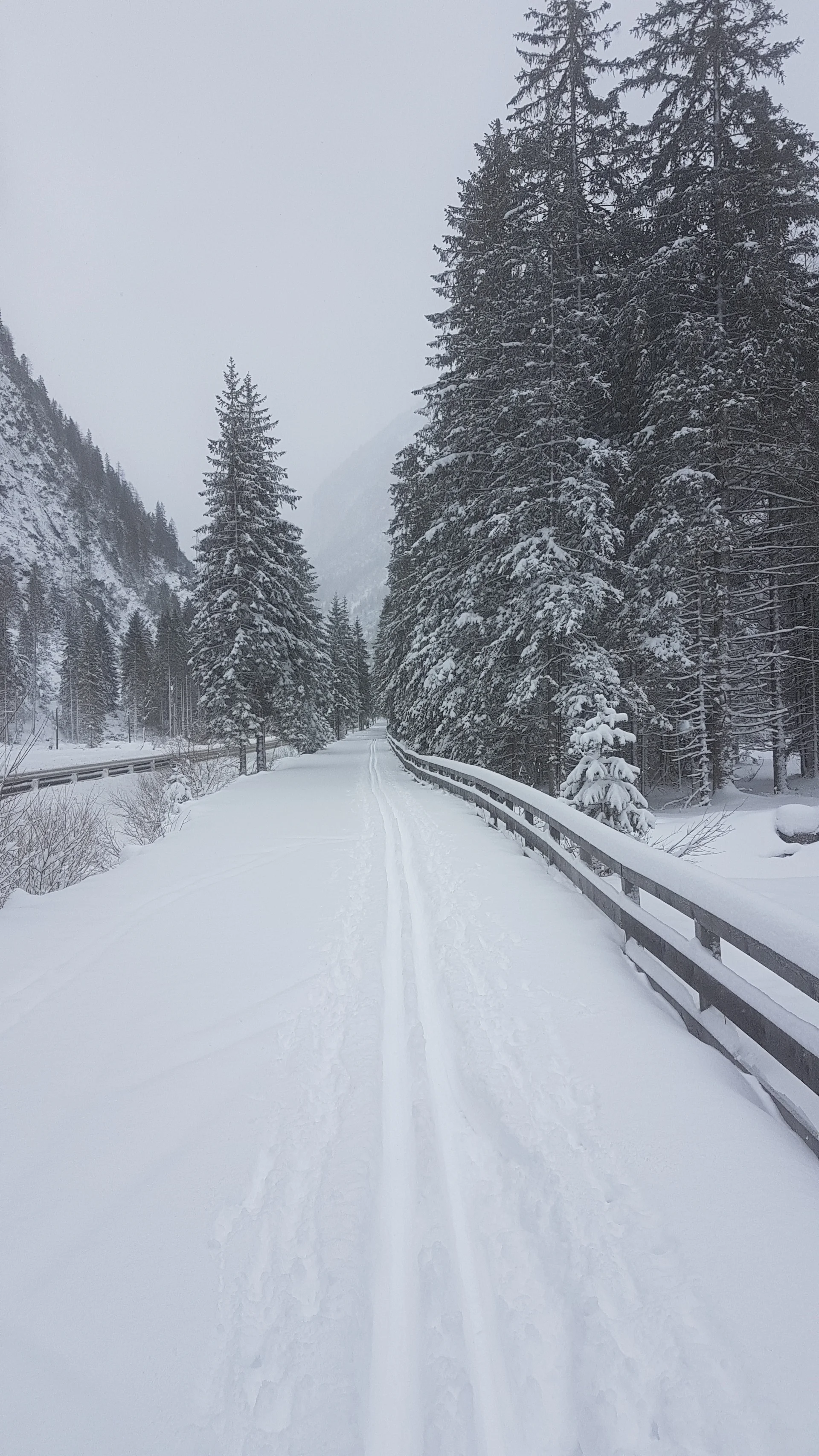 hier hat Hubert gespurt - Rtg. Dürrensee | © privat