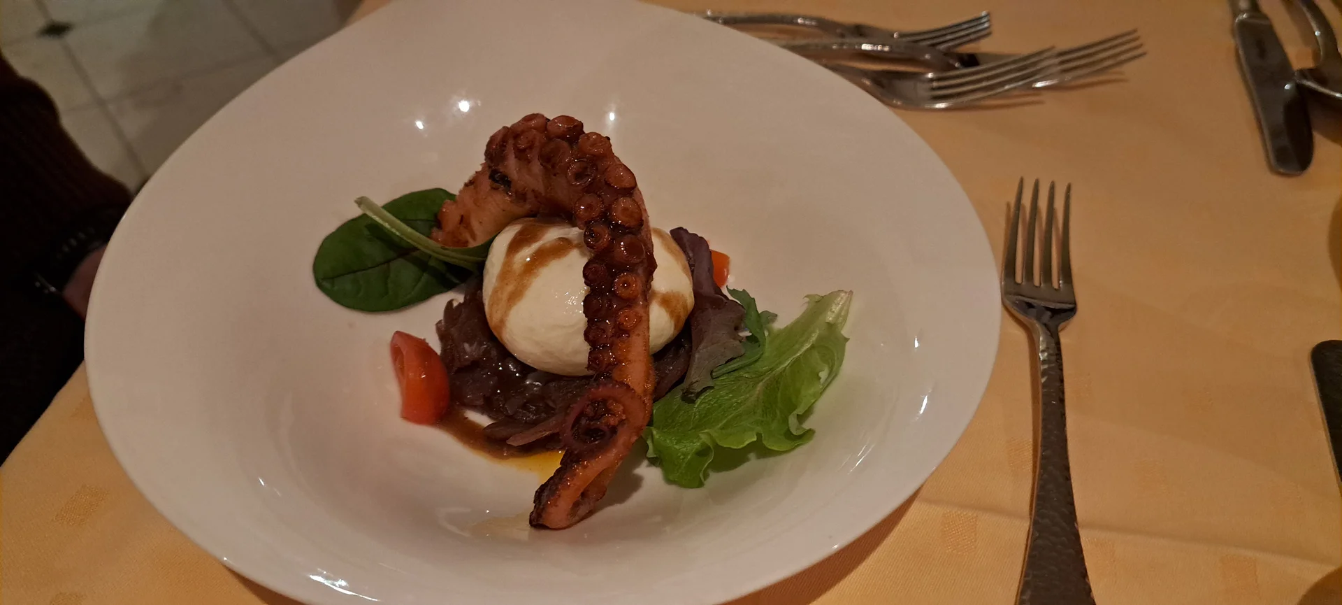 Burrata mit Tintenfisch-Tentakeln | © privat