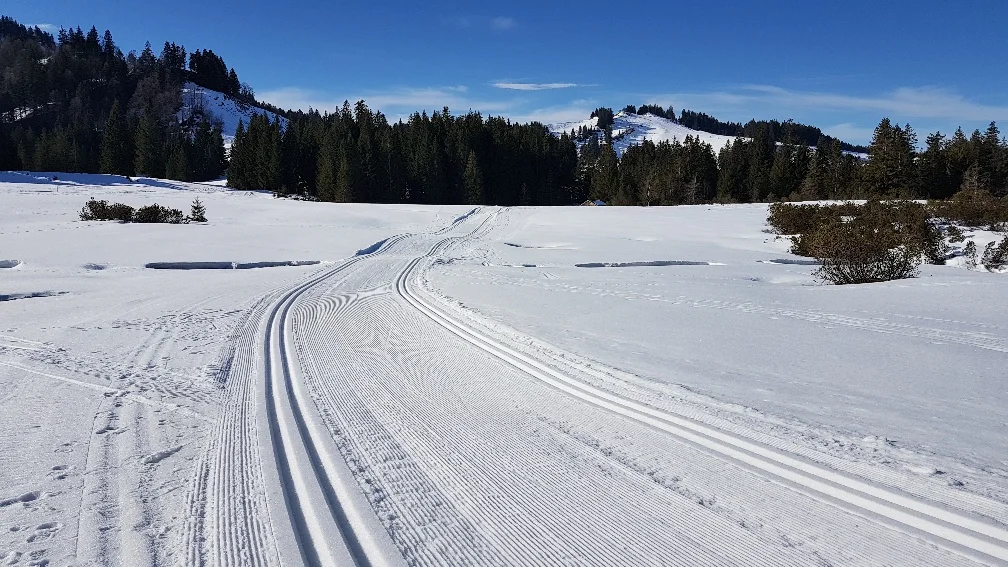 nicht immer war sie so schön | © privat