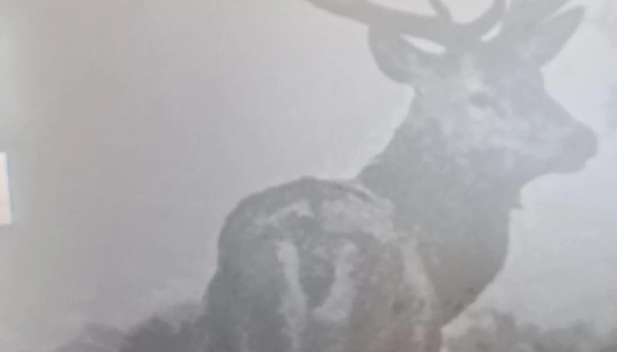 Blick vom stillen Örtchen | © privat