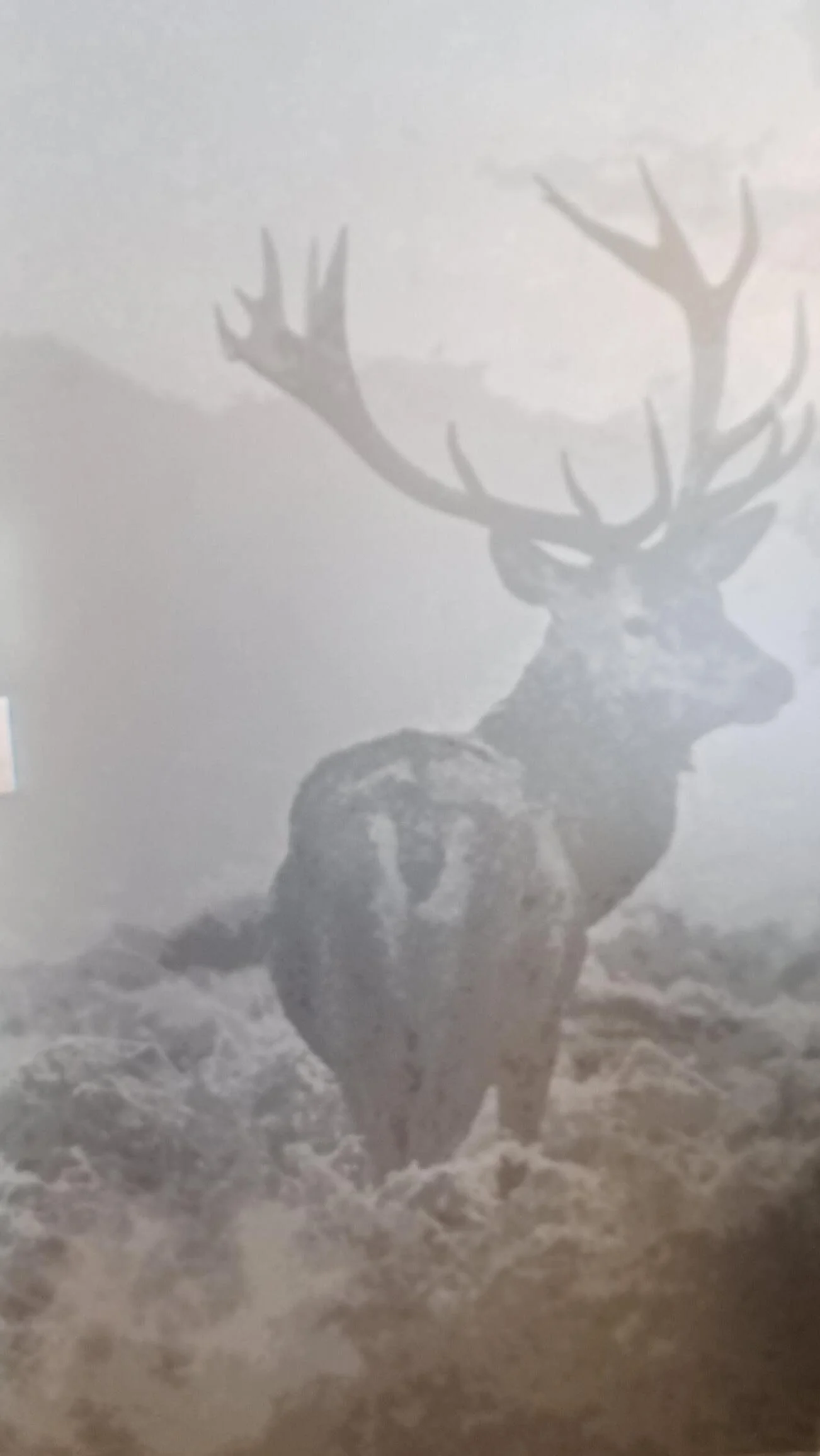 Blick vom stillen Örtchen | © privat