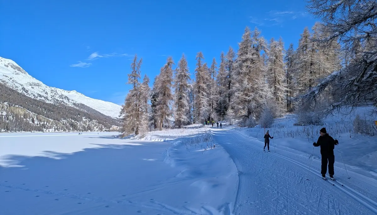 Seeufer-Waldloipe am Silvaplanasee | © AloisM