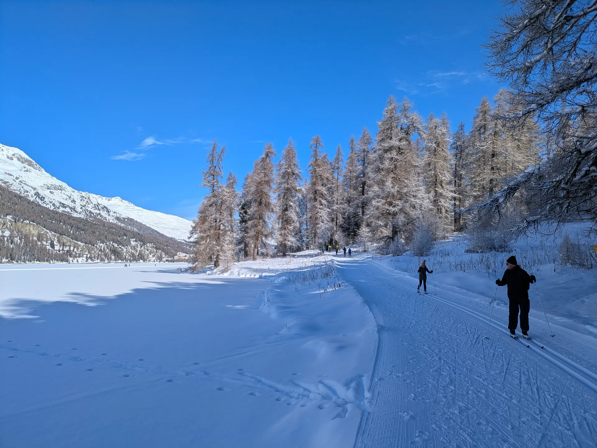 Seeufer-Waldloipe am Silvaplanasee | © AloisM