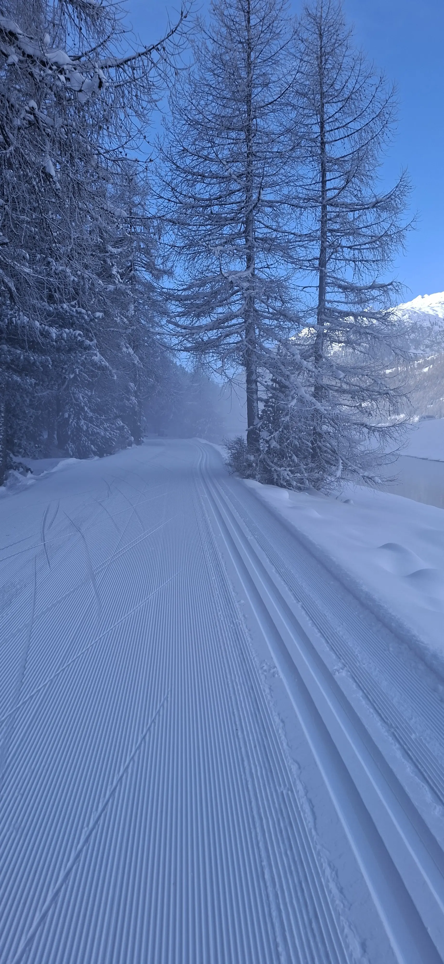 klassisch rechts | © HuS