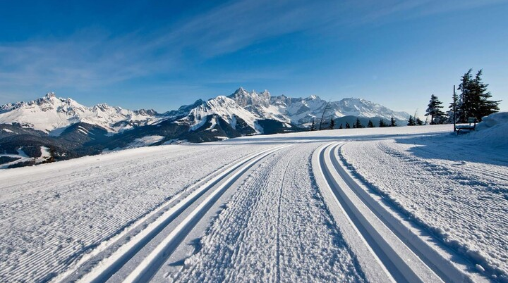 die perfekte Spur | © privat