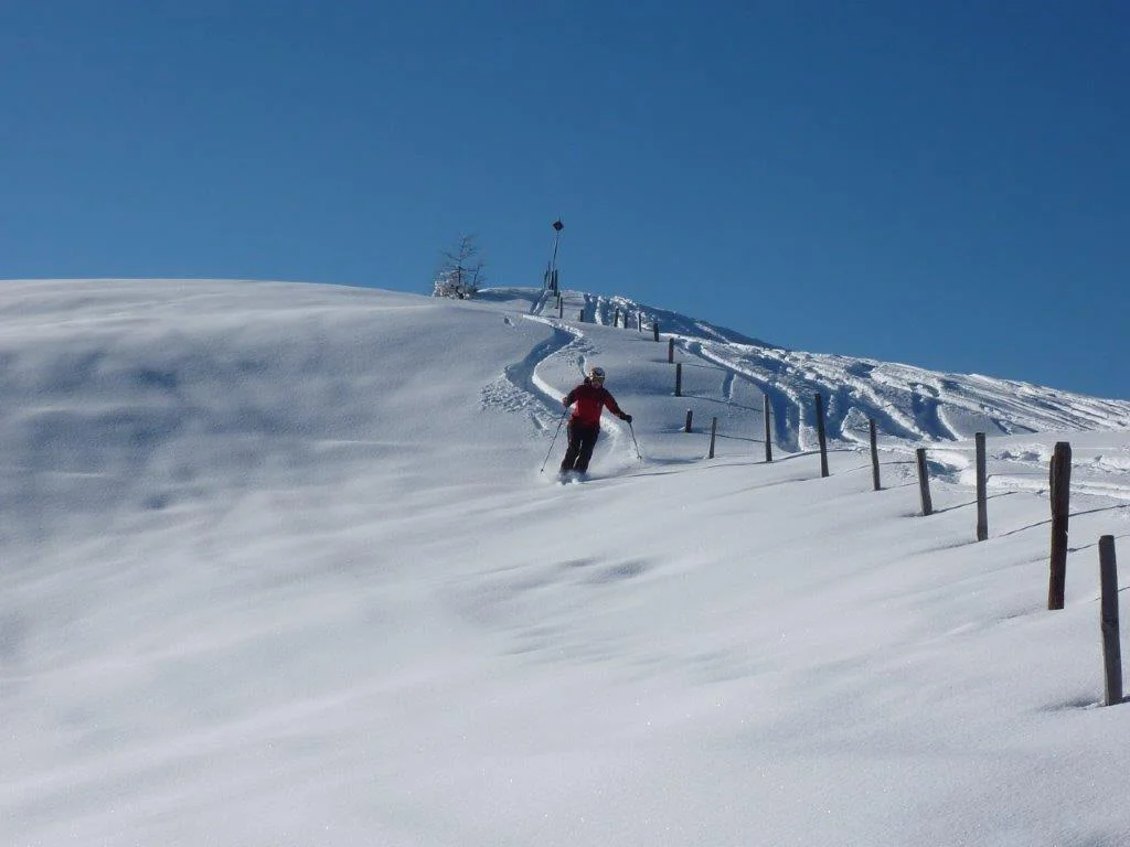 Eine Teilnehmerin der SkiAlpinfahrten der DAV Sektion Augsburg fährt im Tiefschnee Ski. | © Hartmut Seelus