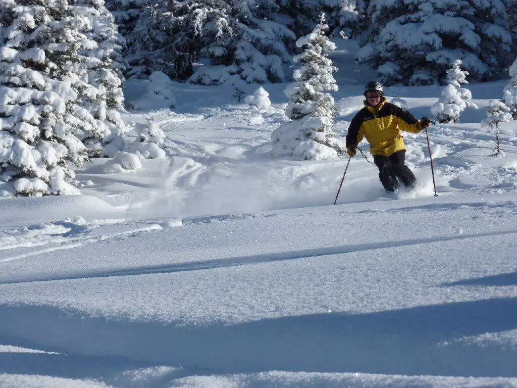 Ein Teilnehmer der SkiAlpinFahrten der DAV Sektion Augsburg fährt mit Skiern im Tiefschnee. | © Hartmut Seelus
