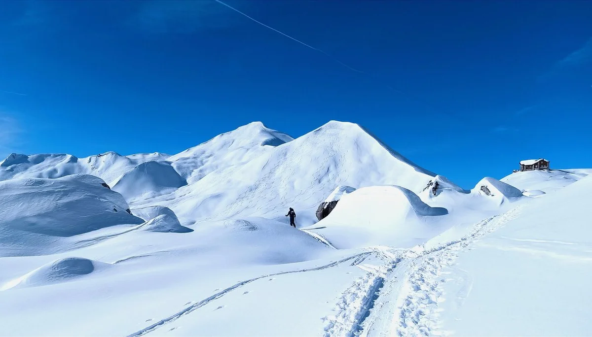 Aufstieg zum Schollberg, 2501m | © Klaus Satzinger