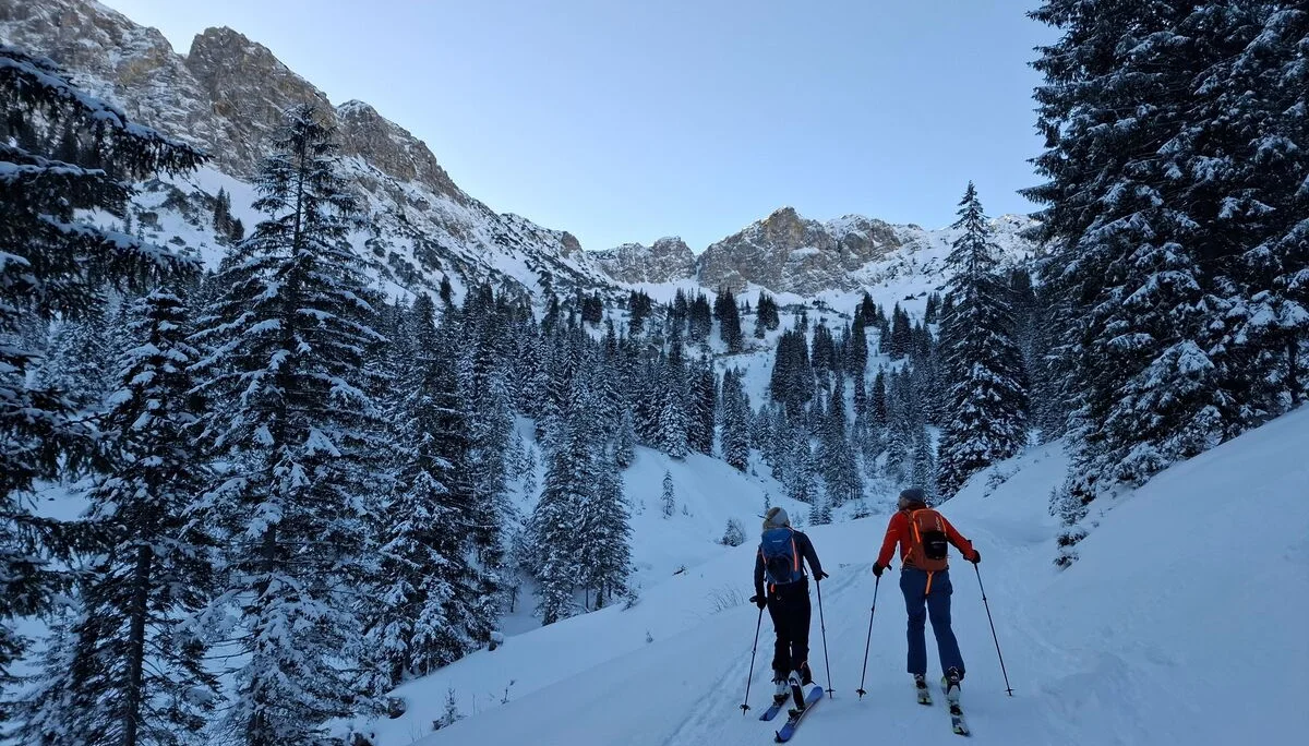 Aufstieg über den Forstweg | © privat