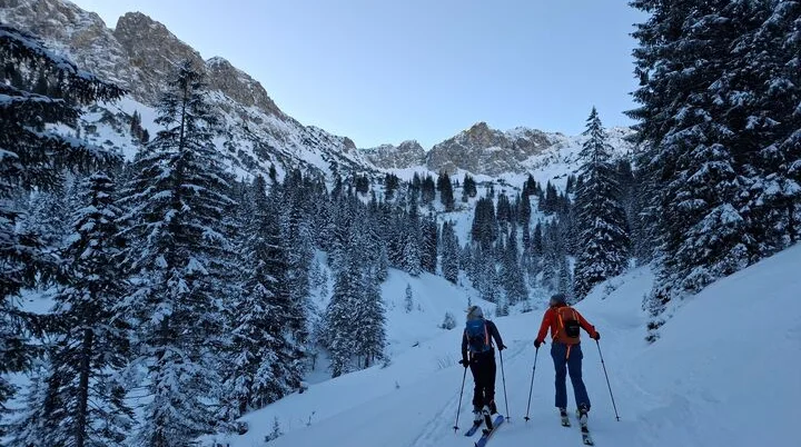Aufstieg über den Forstweg | © privat