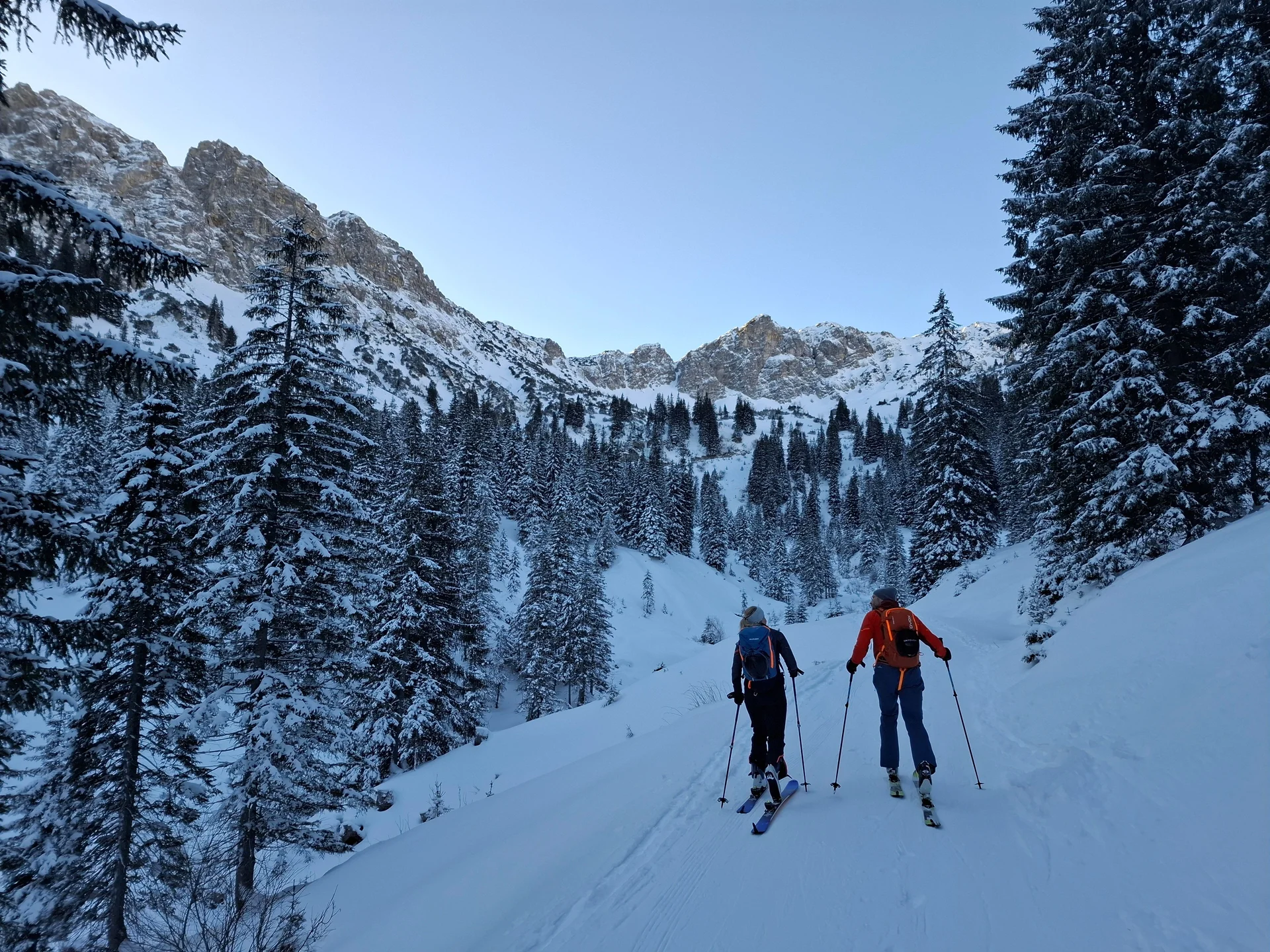 Aufstieg über den Forstweg | © privat