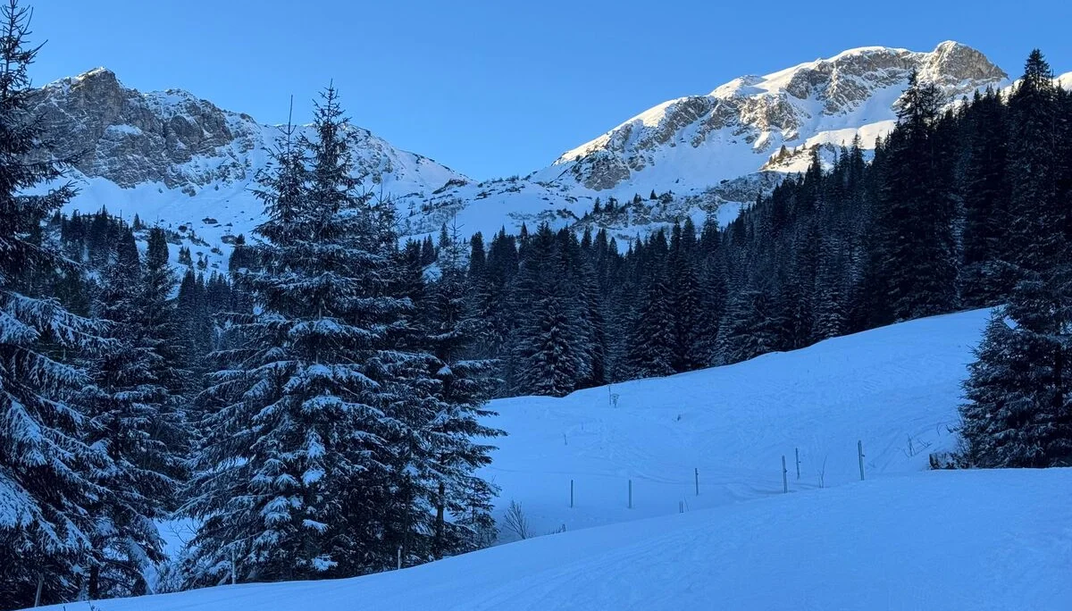 Blick auf die Sulzspitze (re im Bild) | © privat