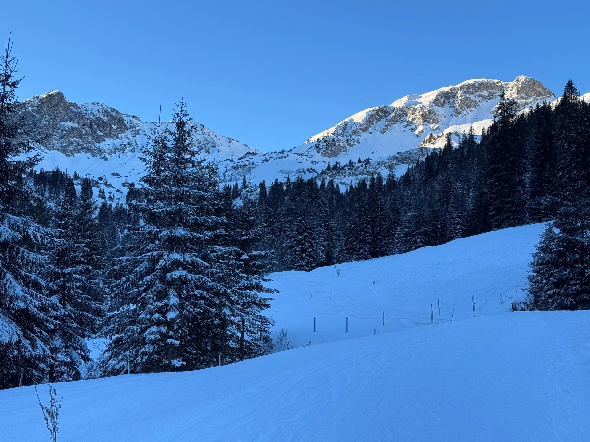 Blick auf die Sulzspitze (re im Bild) | © privat
