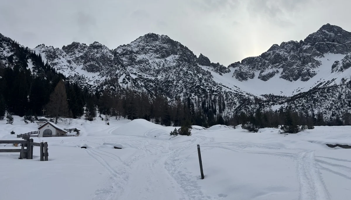 Schneeweiß | © Simon E.