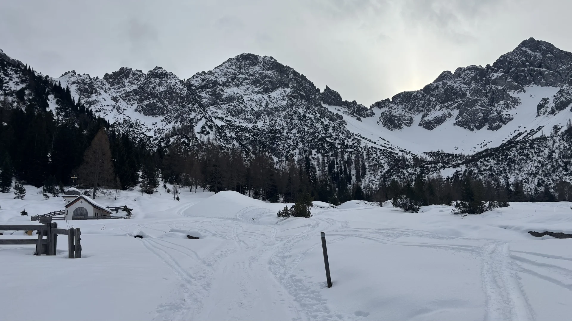 Schneeweiß | © Simon E.