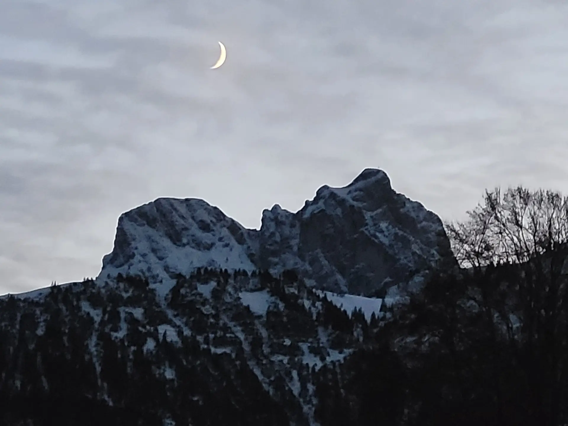 Sichelmond | © Aron Nuber