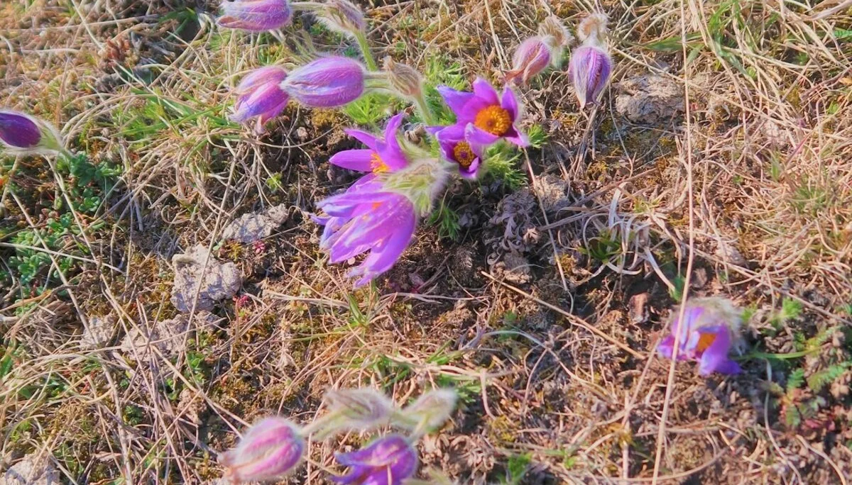 © Unterwegsgruppe DAV Augsburg