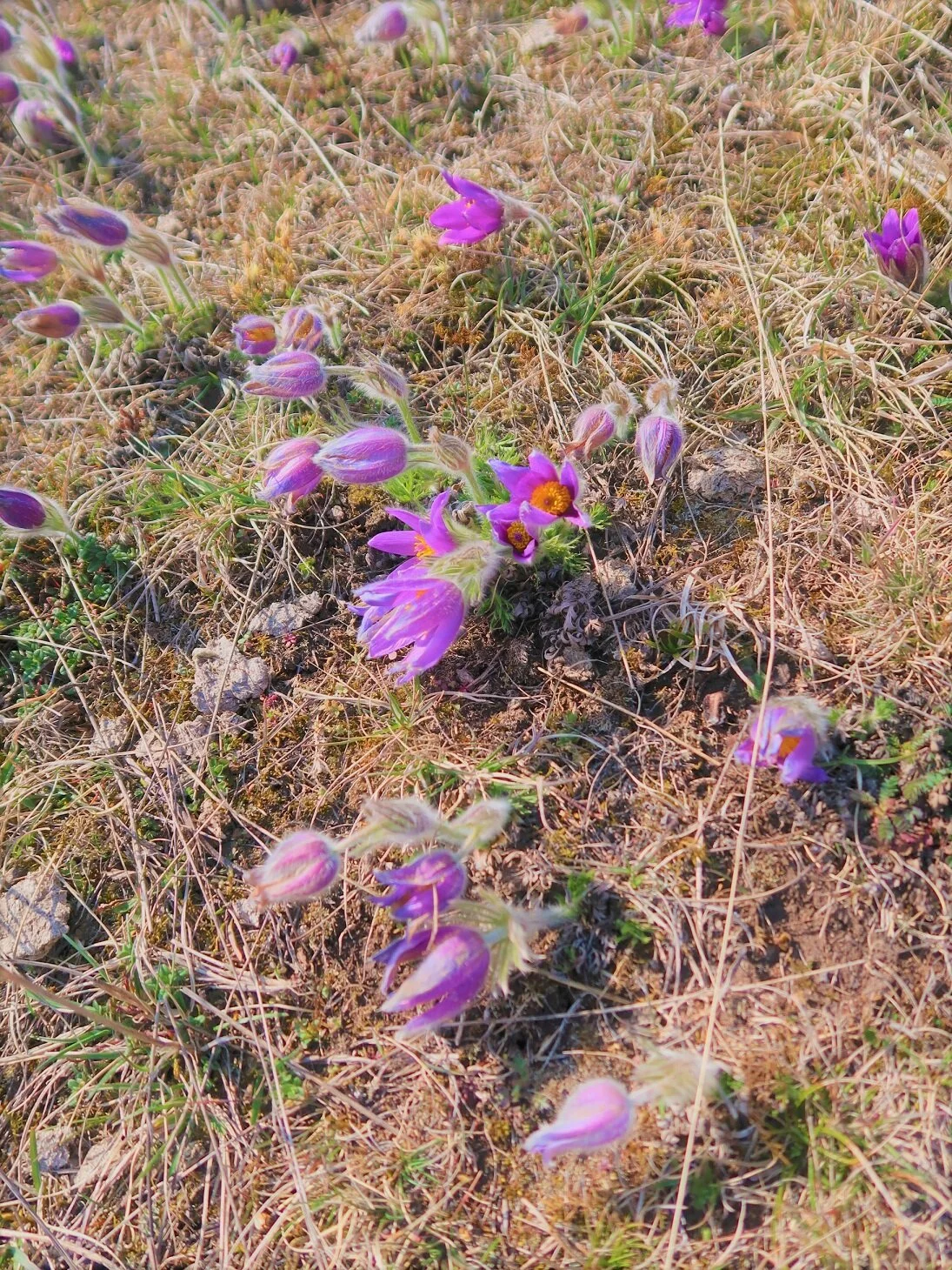 © Unterwegsgruppe DAV Augsburg