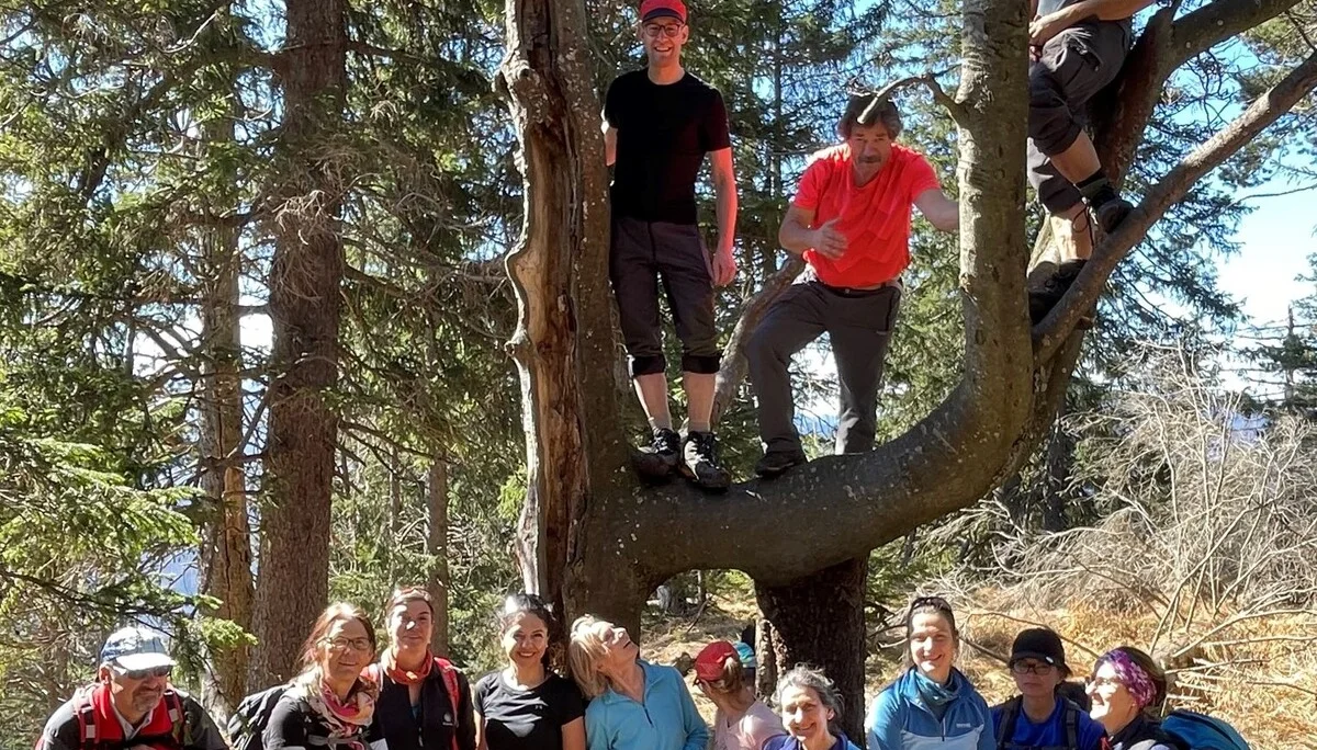 Ein außergewöhnlicher Baum wird erklettert. | © DAV Augsburg Unterwegsgruppe