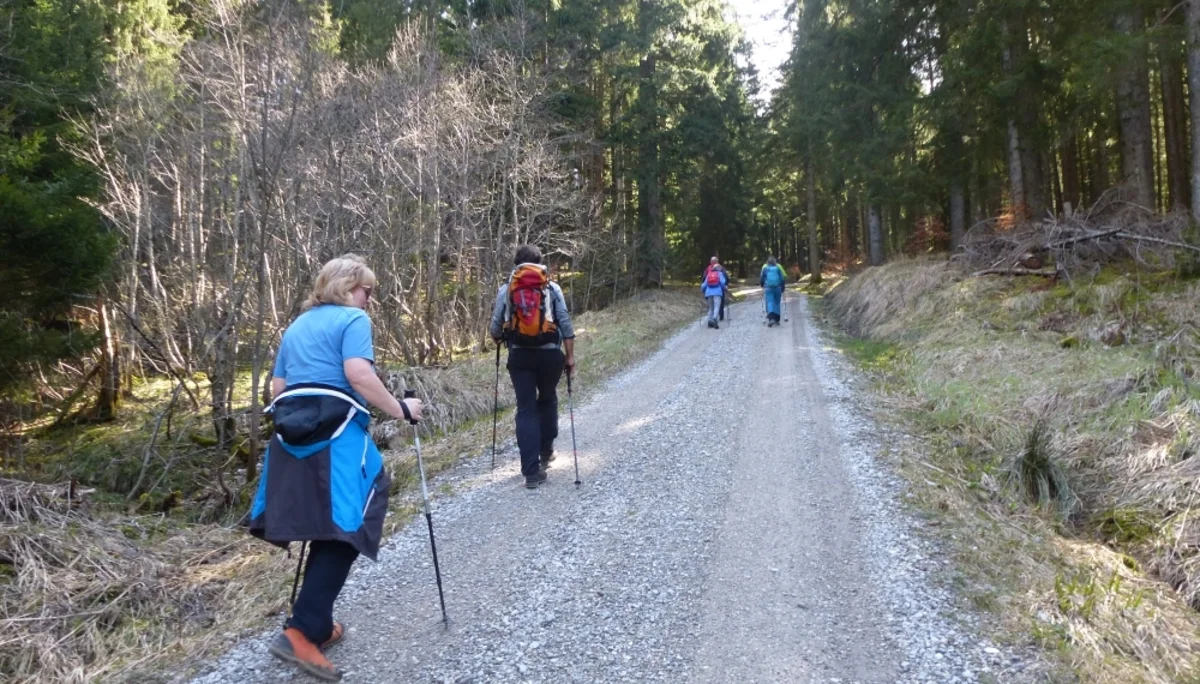 Die Gruppe startet auf der Versorgungsstraße zur Drehhütte. | © DAV Augsburg Unterwegs