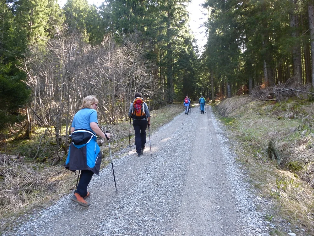 Die Gruppe startet auf der Versorgungsstraße zur Drehhütte. | © DAV Augsburg Unterwegs