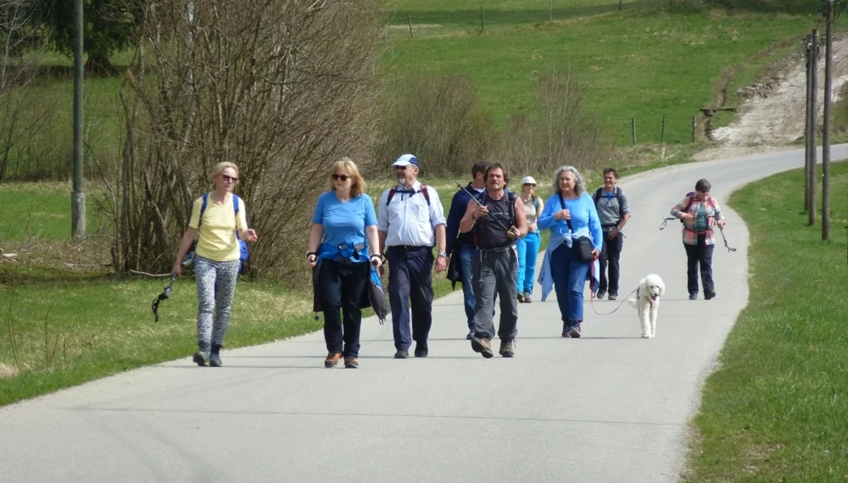 Die Gruppe ist auf dem Rückweg von der Rohrkopfhütte  zum unteren Parkplatz Drehhütte. | © DAV Augsburg Unterwegsgruppe